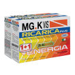 mgk vis ricarica plus 14 bustine + 14 bustine