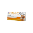carfogil 30 compresse