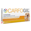 carfogil 30 compresse