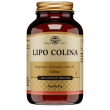 solgar - lipo colina 100 capsule vegetali - integratore di colina per il metabolismo dei grassi
