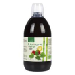 ortica acerola bambu bio 1l