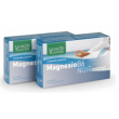 magnesio b-6 nuit 60cps