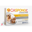 caspongil 30 compresse divisibili