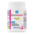 ergyonagre 60cps