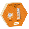 apelab set labbra vasetto + stick