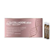 marco dr viti collagene plus 10 flaconcini da 25 ml (scad.08/2027)