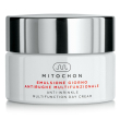 mitochon crema emulsione giorno anti-rughe multifunzionale per viso co