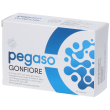 pegaso gonfiore capsule 6 g