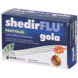 shedirflu gola mentolo/eucalipto pastiglie 48 g