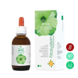 system detox fitosystem 50ml