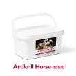 n.b.f. lanes - artikrill horse - 60 buste