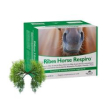ribes horse respiro