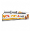 caspongil pasta 30g