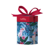 euphidra journey no age 3 pezzi