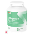 aximagnesio polvere 252 g