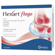 flexart flogo 14 bustine nf