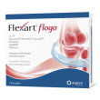 flexart® flogo bustine 63 g polvere per soluzione orale