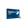 gastrodep act 24cpr mastic