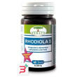 rhodiola 5 45 capsule