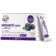 dr. viti drenante mirtillo 28 stick - integratore alimentare