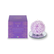 maison cand 40h lavanda piemon