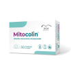 mitocolin 30cpr divisibili