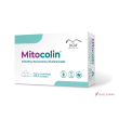 mitocolin 30 compresse divisibili
