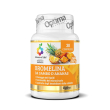 bromelina gambo ananas compresse 30 g