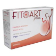 fitoart plus 14bust
