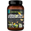 t-rex aminoacidi essenziali gusto tropical da 252g