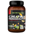 t-rex creatina monoidrato gusto tropical da 250g