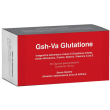 gsh-va glutatione 60 capsule gastro