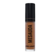 mesauda pro light concealer c95