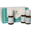 beniaflor flaconcini 10fl 10ml