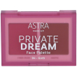 astra make-up private dream face palette blush + bronzer tonalità 04 g