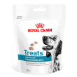 vhn dog hypoallerg treat 230g