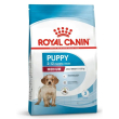 shn dog medium puppy 3kg