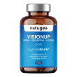 visionup 60cpr