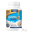 galatto d junior 90cpr mast.
