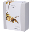 dr hauschka warm glow rigenerante crema giorno + siero r