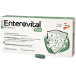enterovital pro 15cps