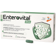 enterovital pro 15cps