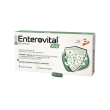 enterovital pro 15 capsule