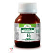 sedanol b 60 capsule 410 mg