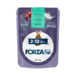 maintenance cat kitten 2-12 mesi coniglio - alimento completo per gattini in crescita 80 gr