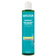 shampoo rosmarino 250ml