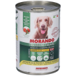 morando bocconi in salsa con pollo, fagiolini e pomodori per cani adul