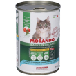 morando bocconcini in salsa con tonno pomodori e fagiolini per gatti a