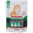 morando bocconcini in gelatina con salmone e tonno per gatti sterilizz