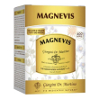 magnevis 400past